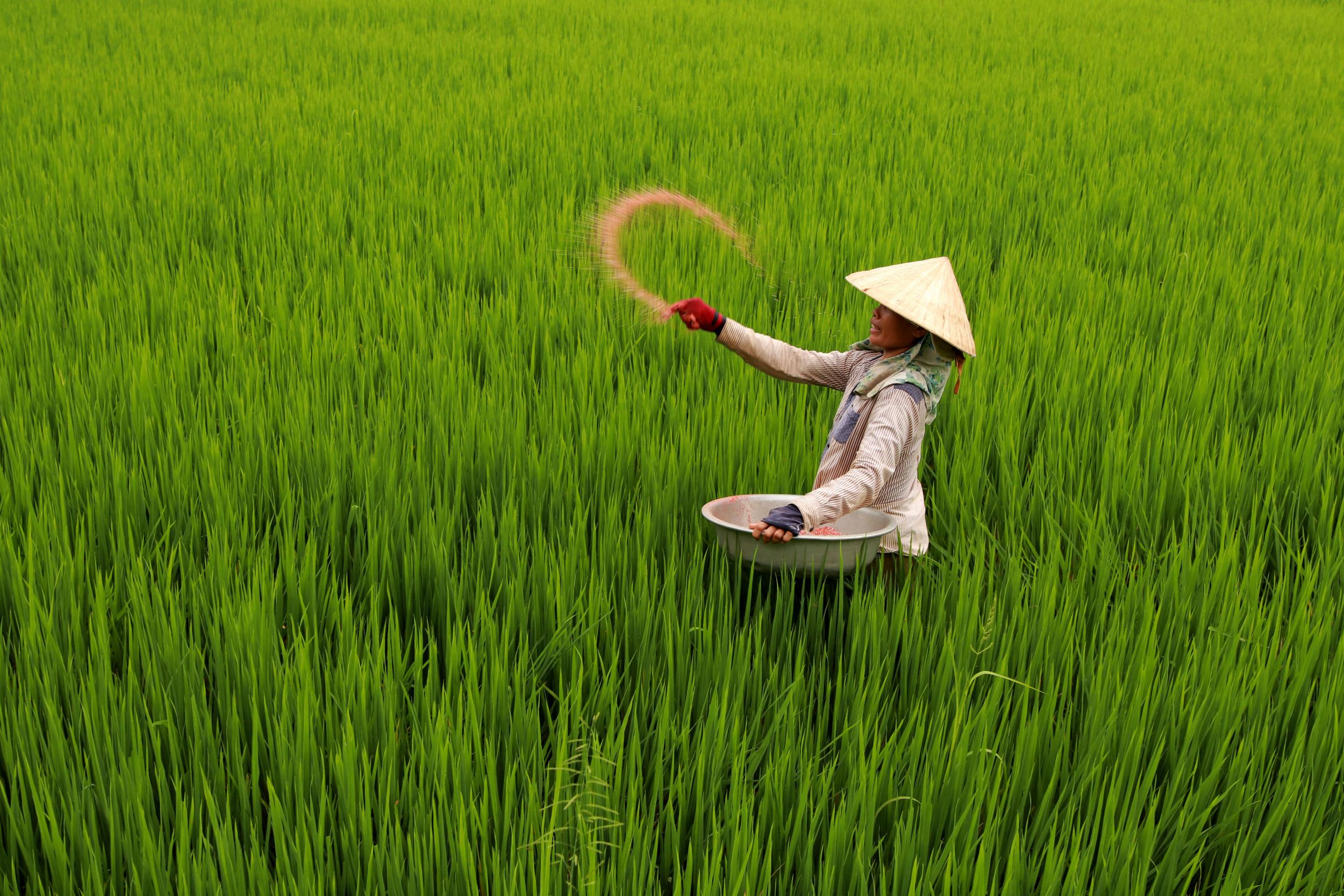 Quyet Thang Dau - Vietnam / UNESCO Youth Eyes on the Silk Roads 2018