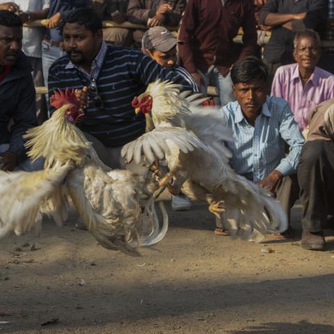 © Rishab Nandi - India / UNESCO Youth Eyes on the Silk Roads