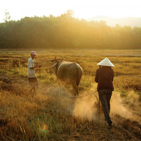 © Quyet Thang Dau - Vietnam / UNESCO Youth Eyes on the Silk Roads