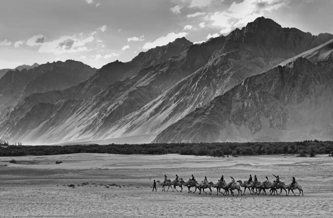 UNESCO Youth Eyes on the Silk Roads Photo Contest: Jury Members